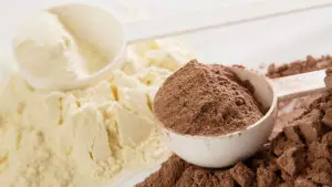 Everything You Need To Know About Protein Powders